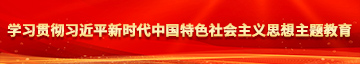 WWW.操屄视频.COM学习贯彻习近平新时代中国特色社会主义思想主题教育